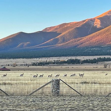 Buena Vista Mountain Retreat - Ultimate Privacy With Spa & Unbeatable Views Esterno foto