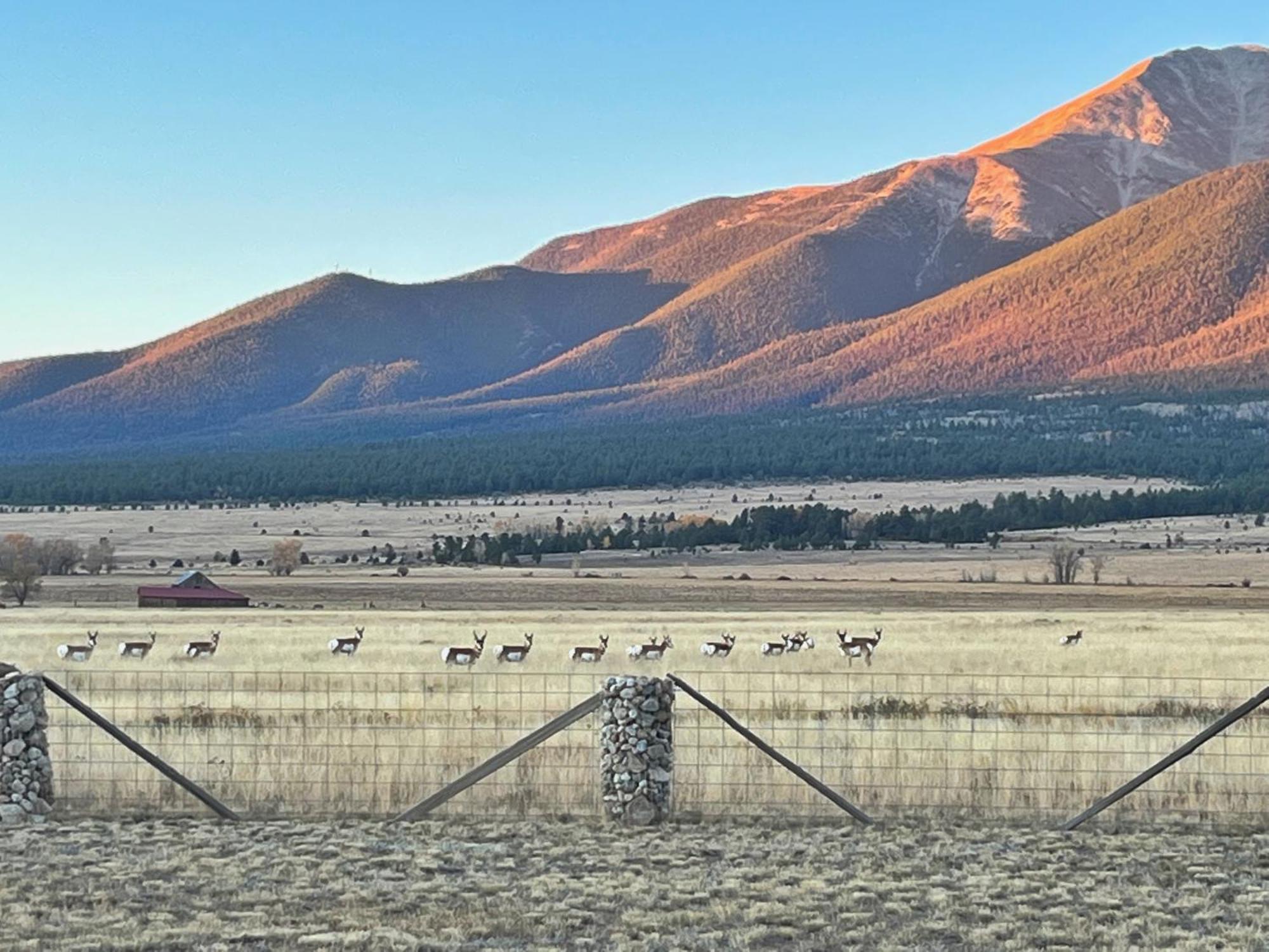 Buena Vista Mountain Retreat - Ultimate Privacy With Spa & Unbeatable Views Esterno foto